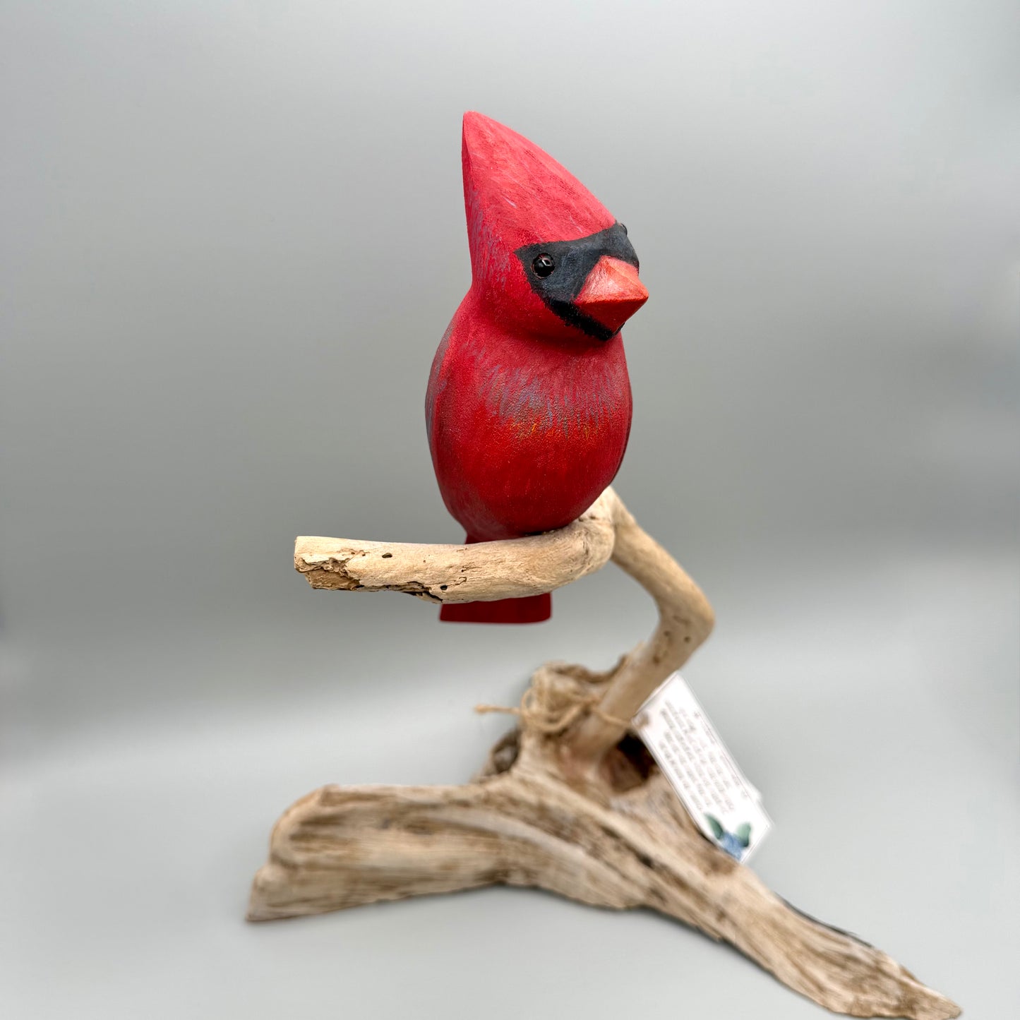 Male Cardinal