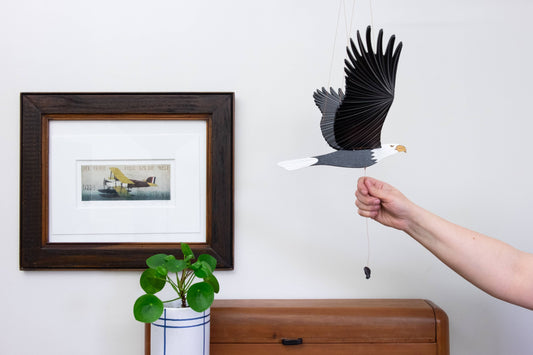 American Bald EagleFlying Mobile