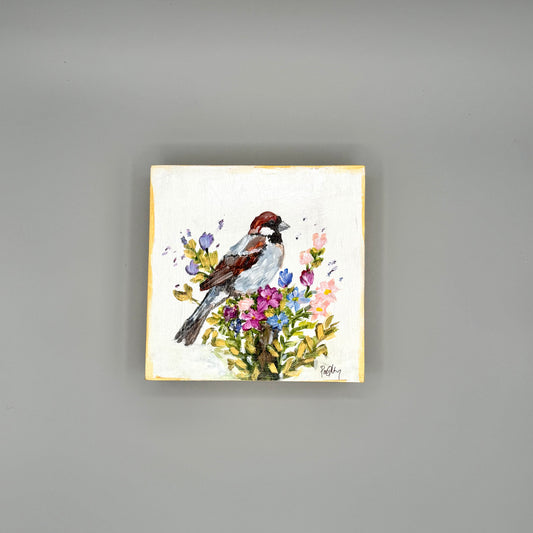 Sparrow's Paradise