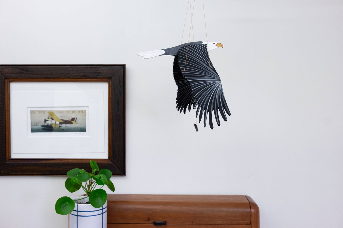 American Bald EagleFlying Mobile