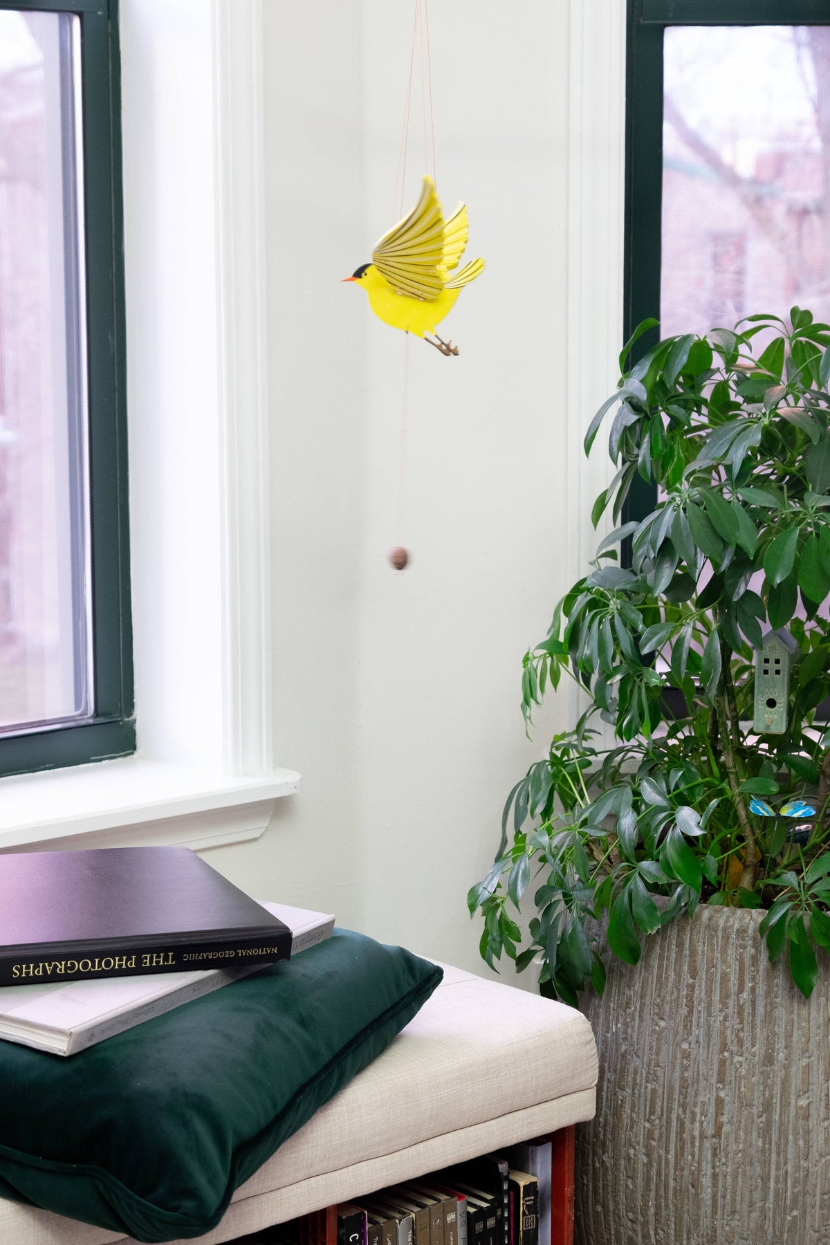 American Goldfinch Bird Flying Mobile