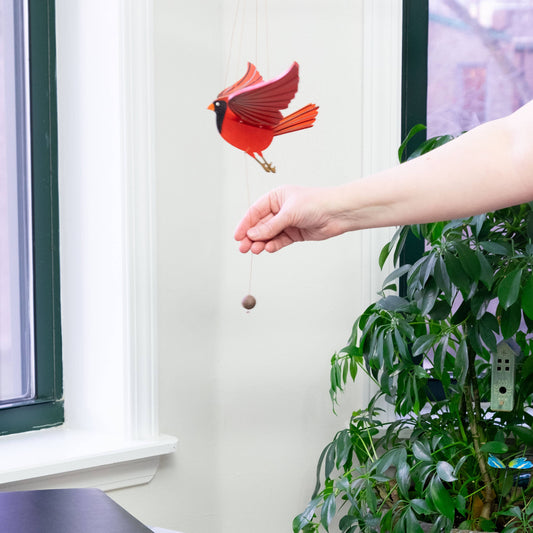 Cardinal Flying Mobile