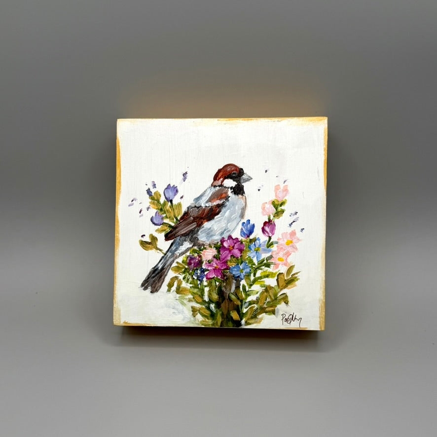 Sparrow's Paradise