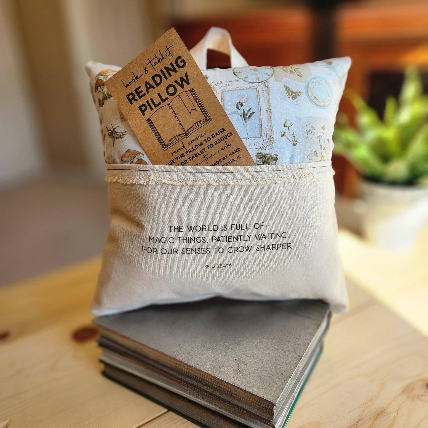 The World is Full of Magic Things Reading Pillow