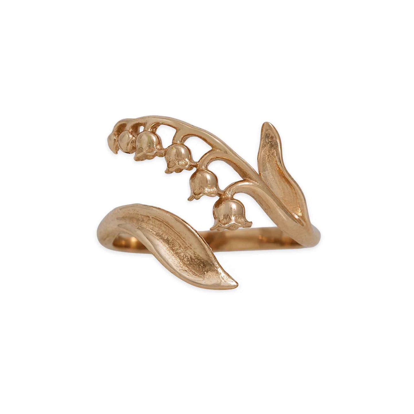 Adjustable Birth Flower Rings: Bronze / February - Iris