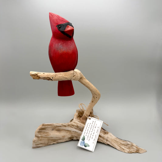 Male Cardinal