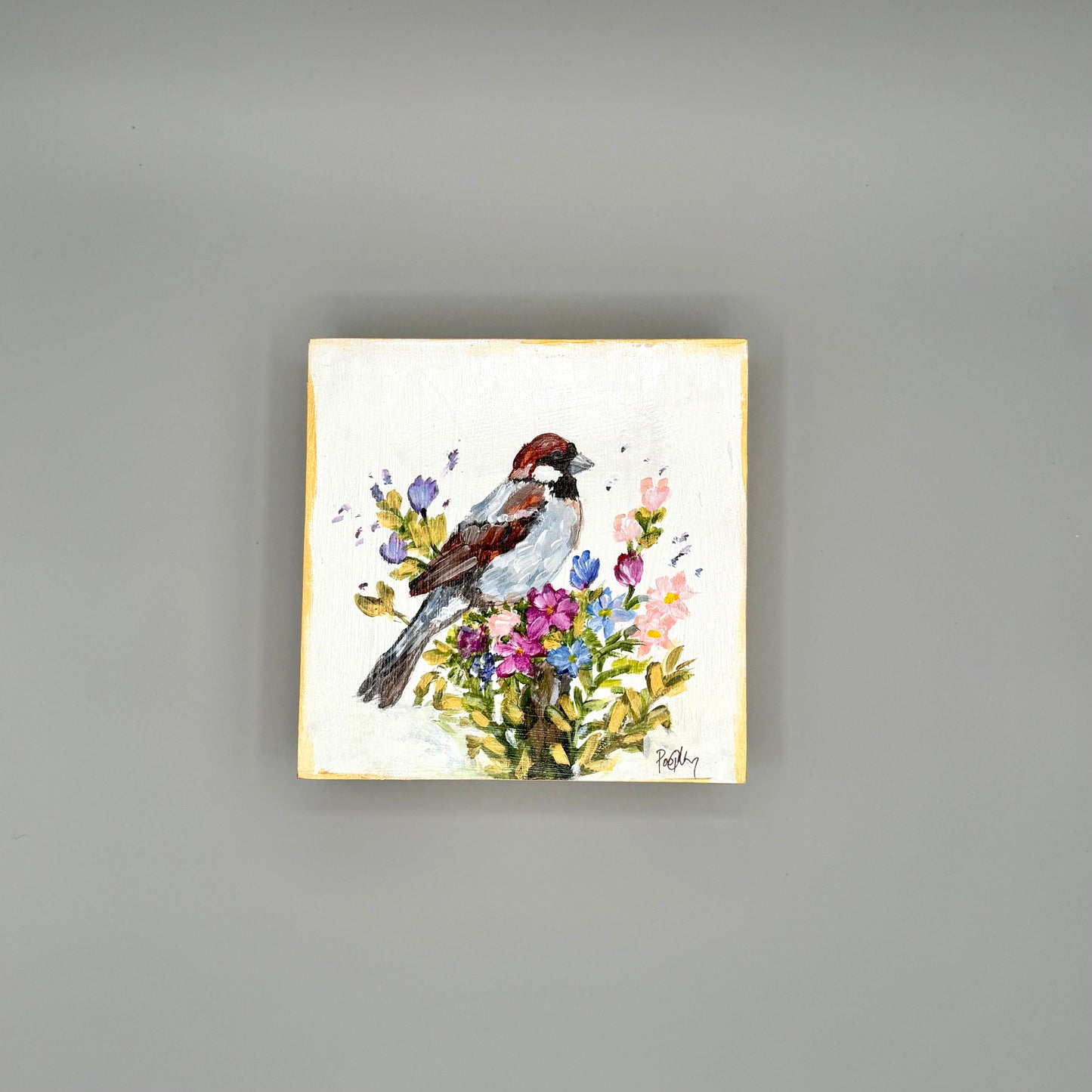 Sparrow's Paradise
