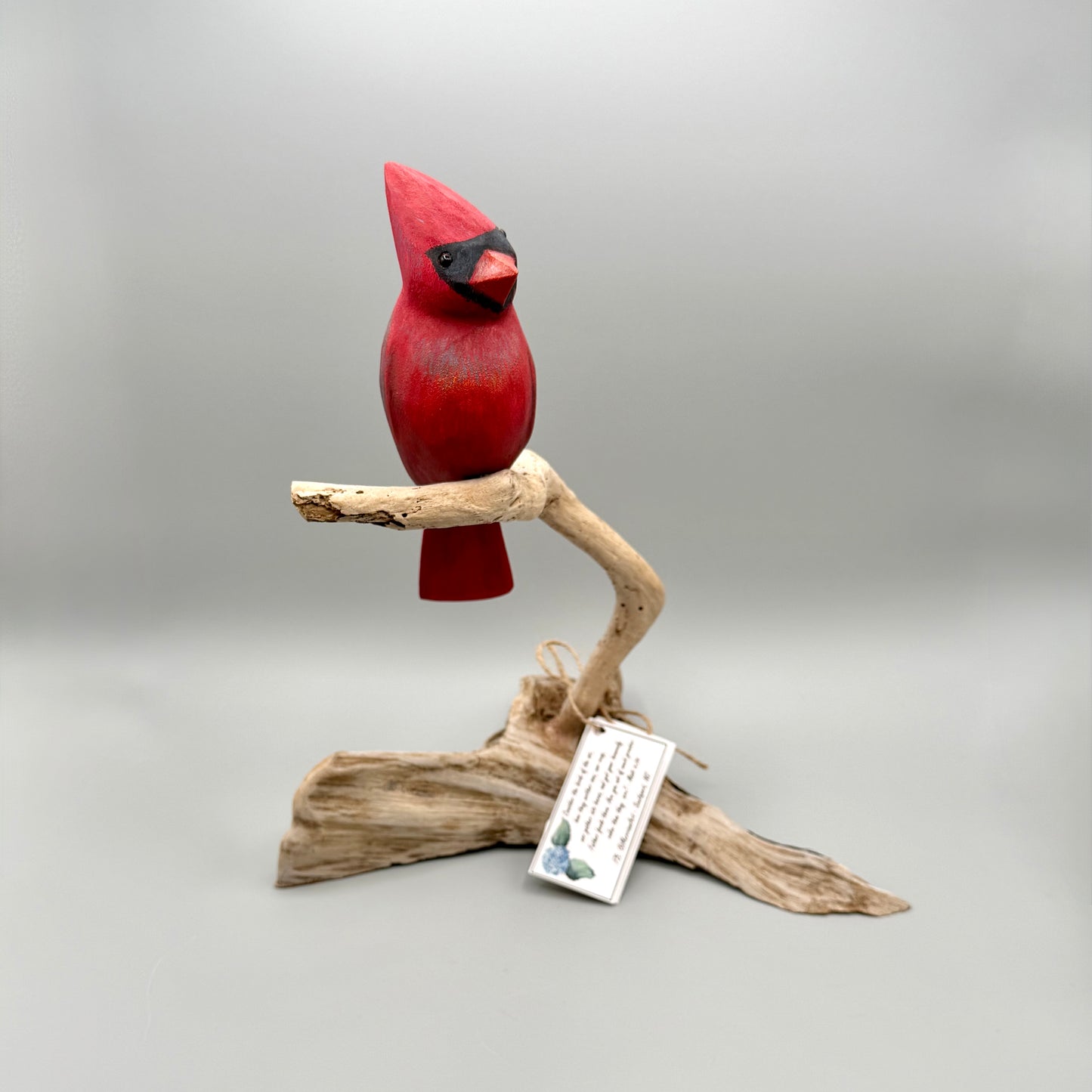 Male Cardinal