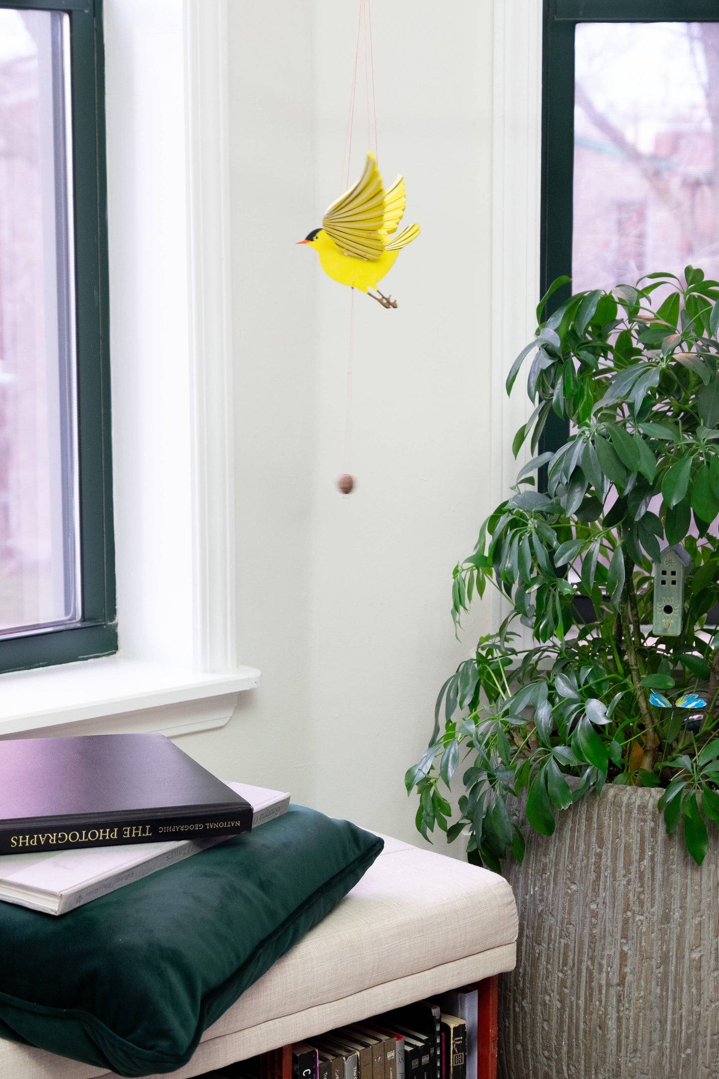 American Goldfinch Bird Flying Mobile