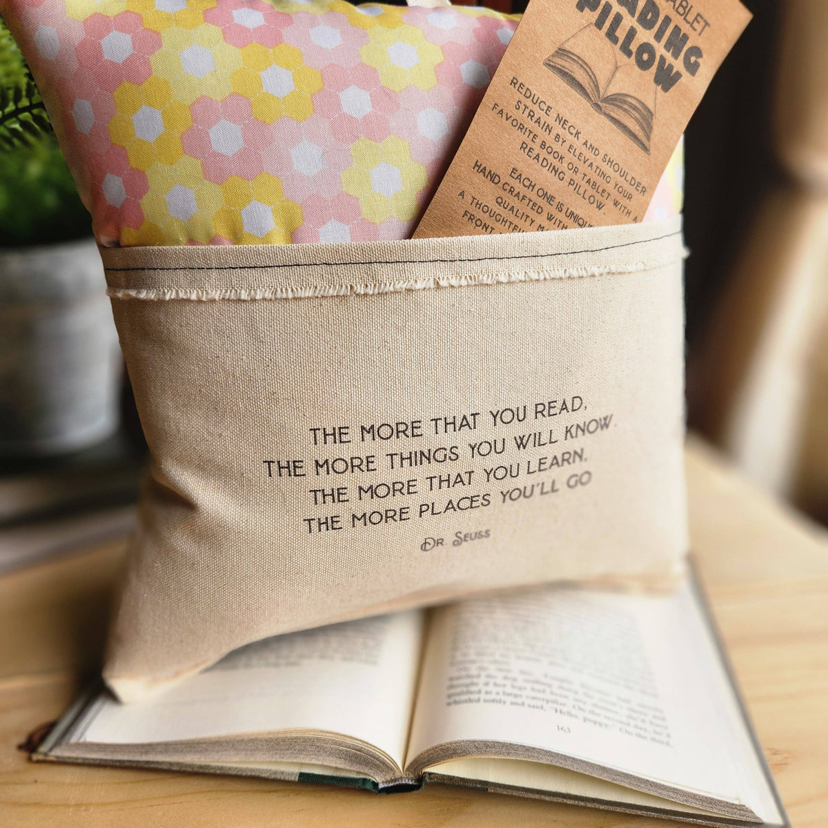 Dr. Suess Quote Reading Pillow